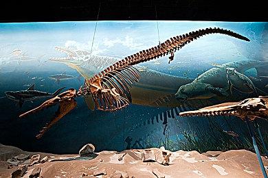 《宝可梦传说：阿尔宙斯》全新宣传片公开